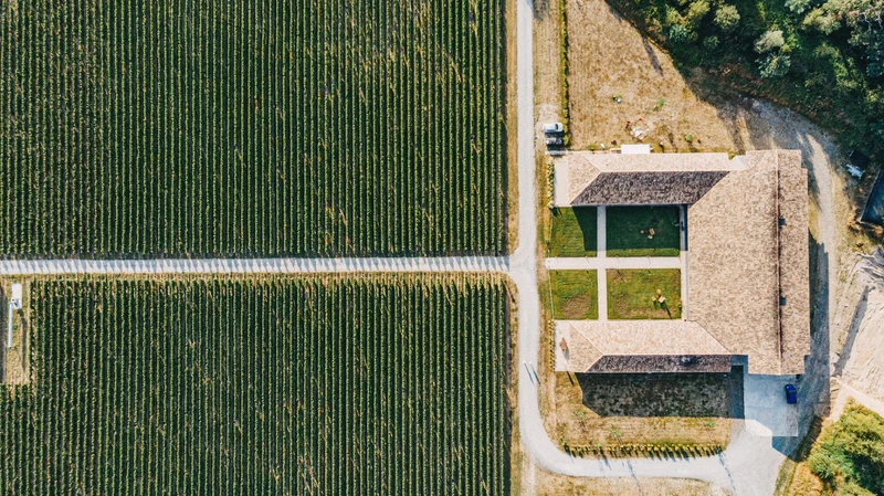 Pessac-Léognan Haut-L'Artigue 2022
