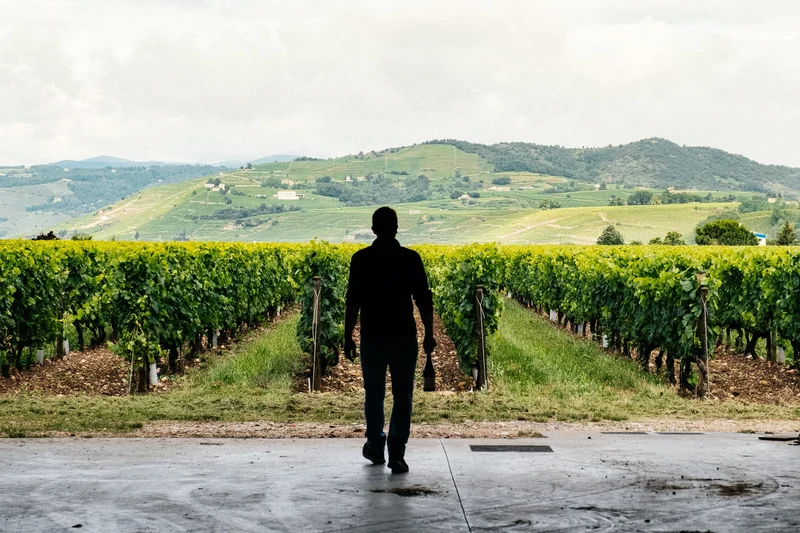Crozes-Hermitage 2022 (Magnum : 1,5L)