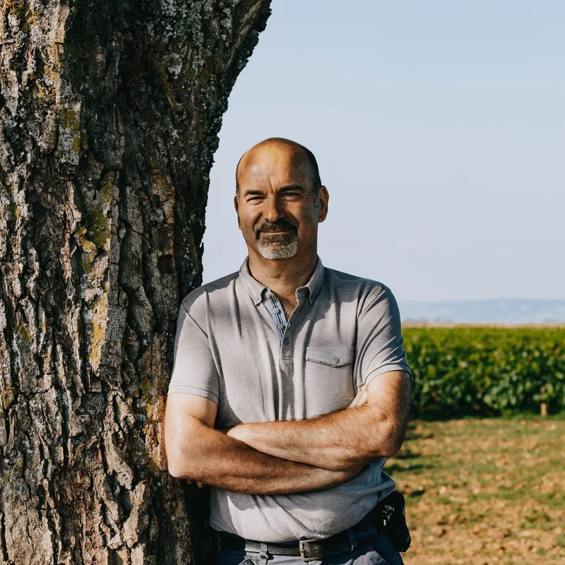 Côte de Nuits-Villages rouge 2023
