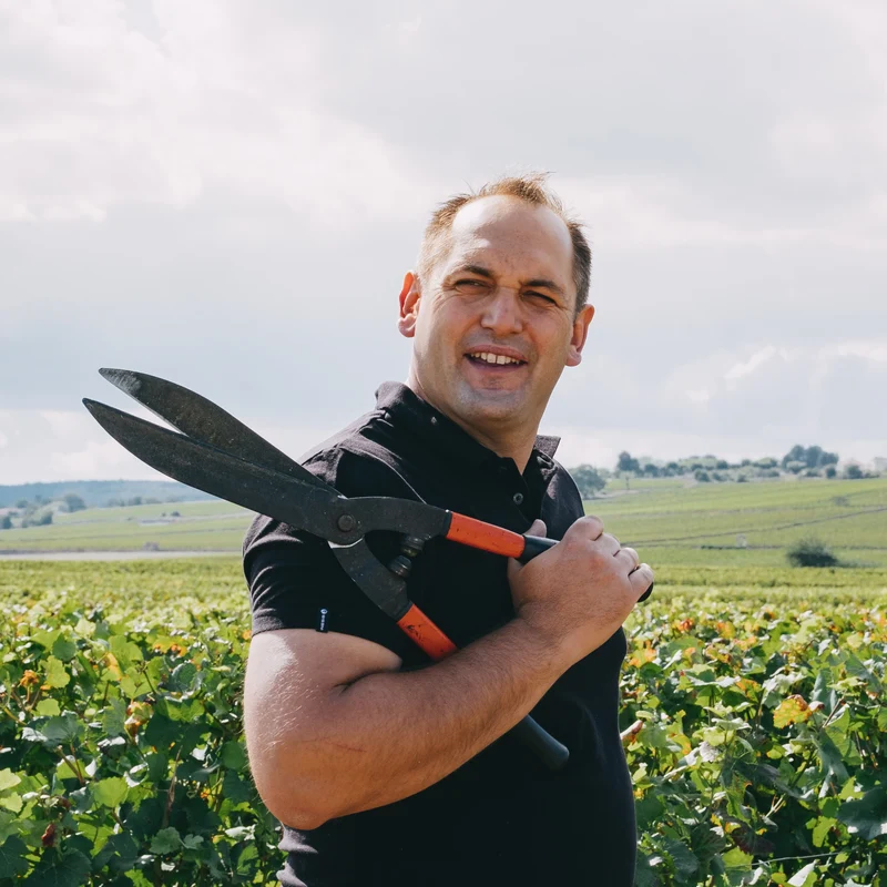 Volnay 2022