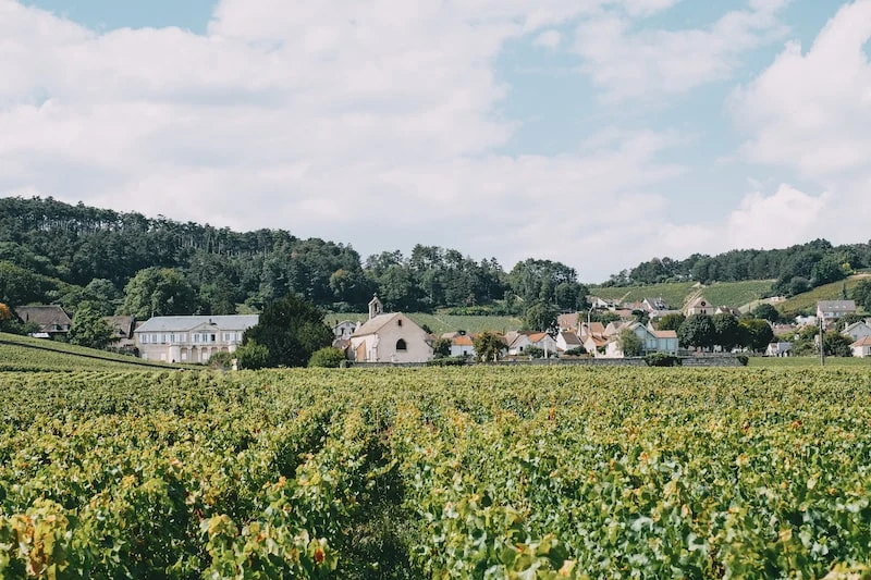 Volnay 2022