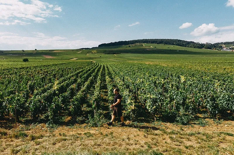 Volnay 2022