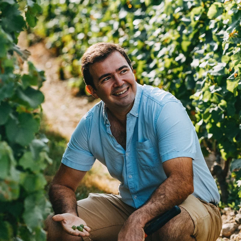 Pessac-Léognan rouge 2022
