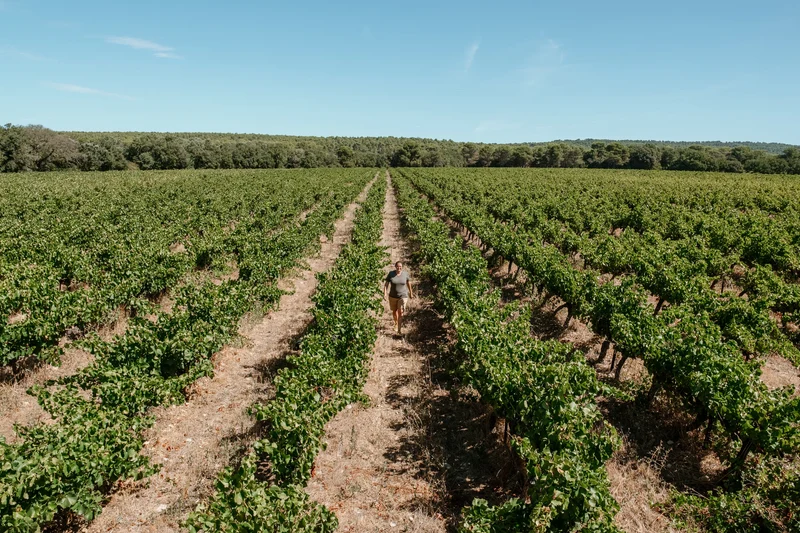 Coteaux d'Aix-en-Provence 2023