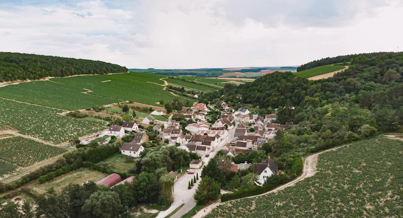 Chablis 2025