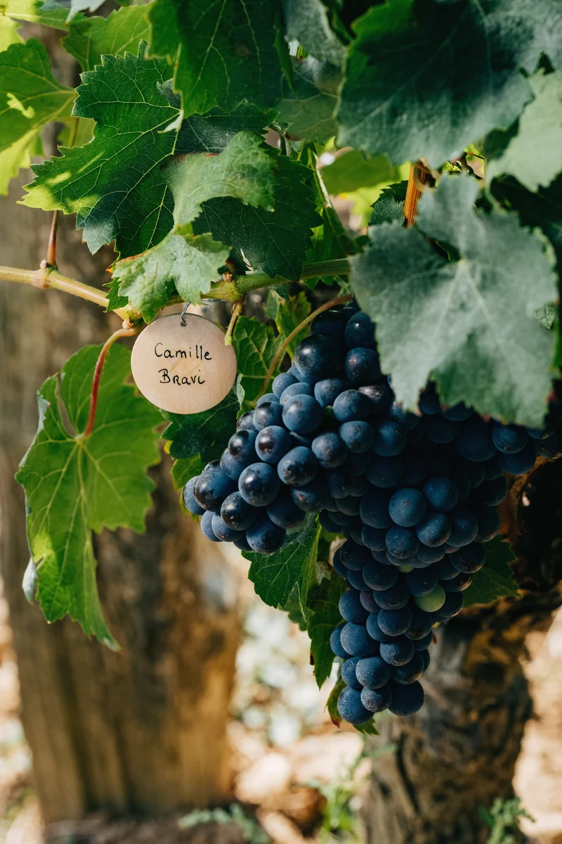 Chinon blanc 2025