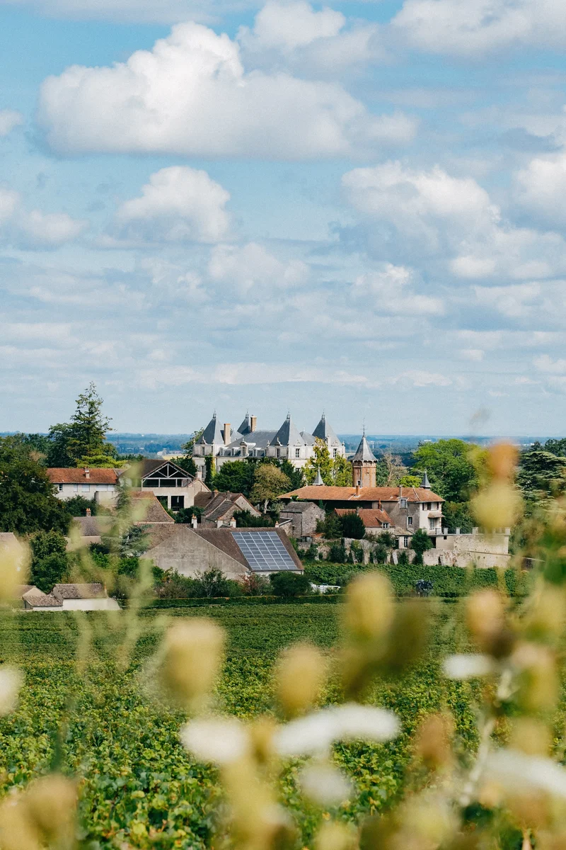 Mercurey Premier Cru rouge 2023