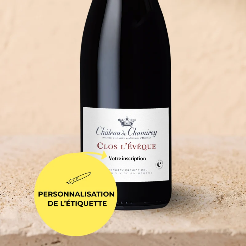 Mercurey 1er Cru 2023