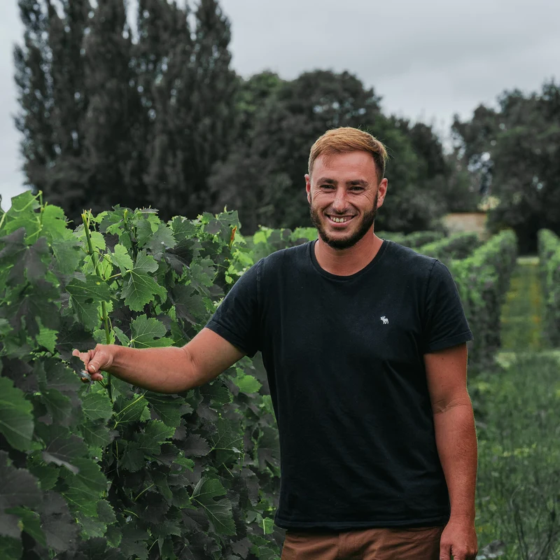Montagne-Saint-Emilion "Renaissance" 2023