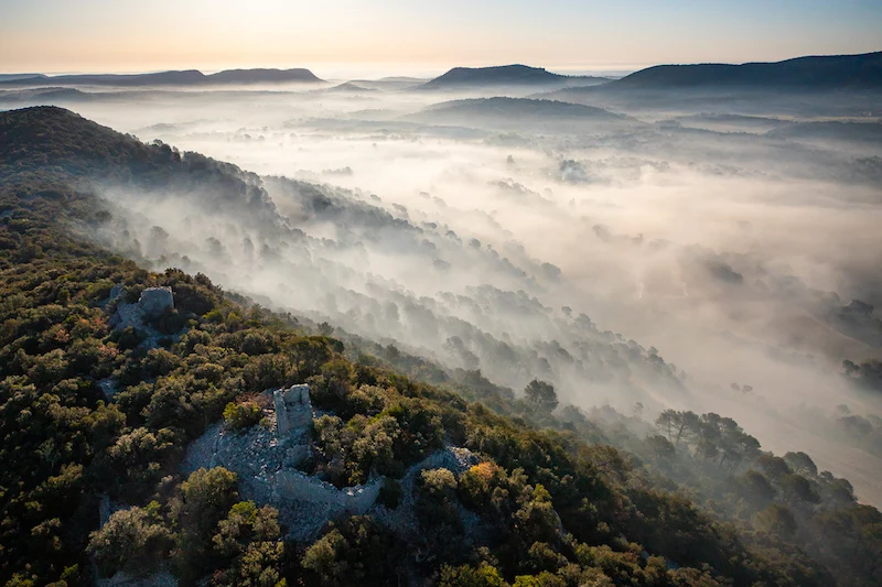Pic Saint-Loup 2024