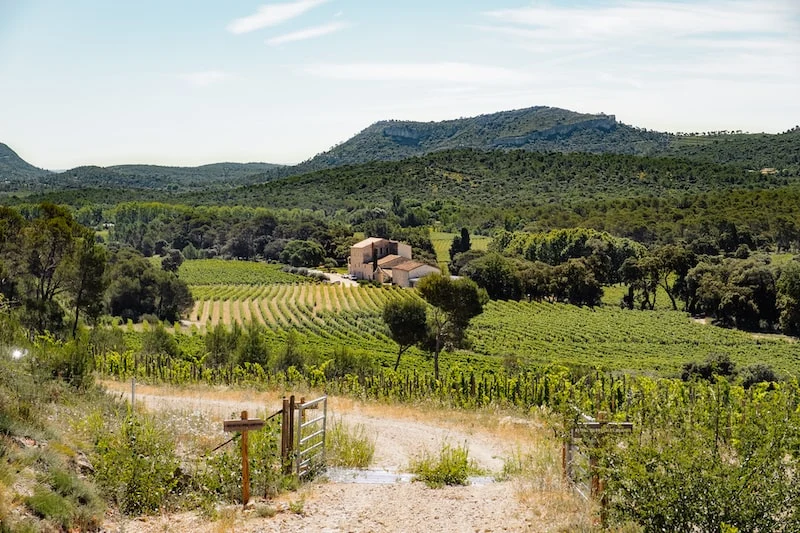 Pic Saint-Loup 2024