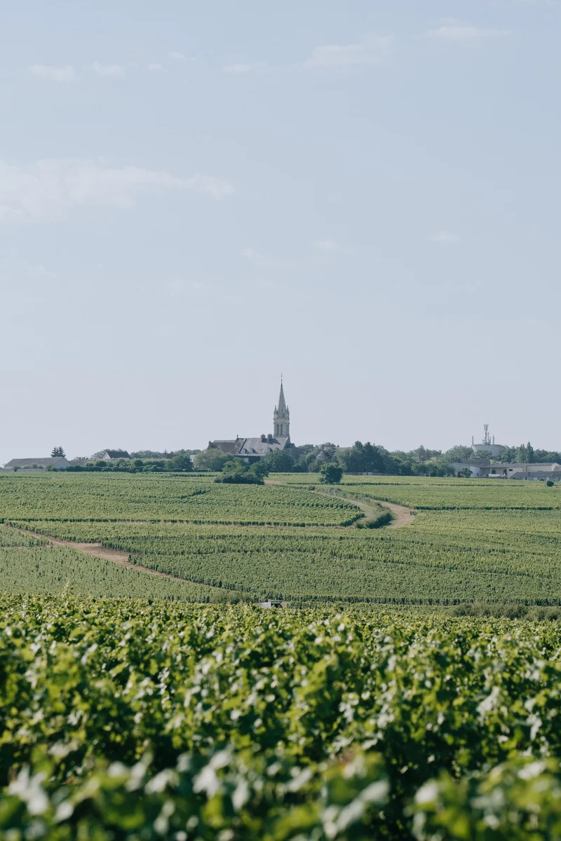 Pouilly-Fumé 2024