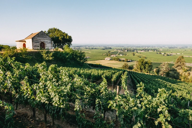 Saint-Émilion Grand Cru Classé 2018 (Magnum : 1,5L)