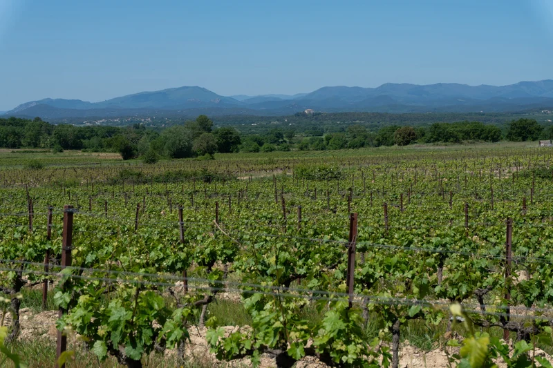 Cévennes rouge Triptyque 2022