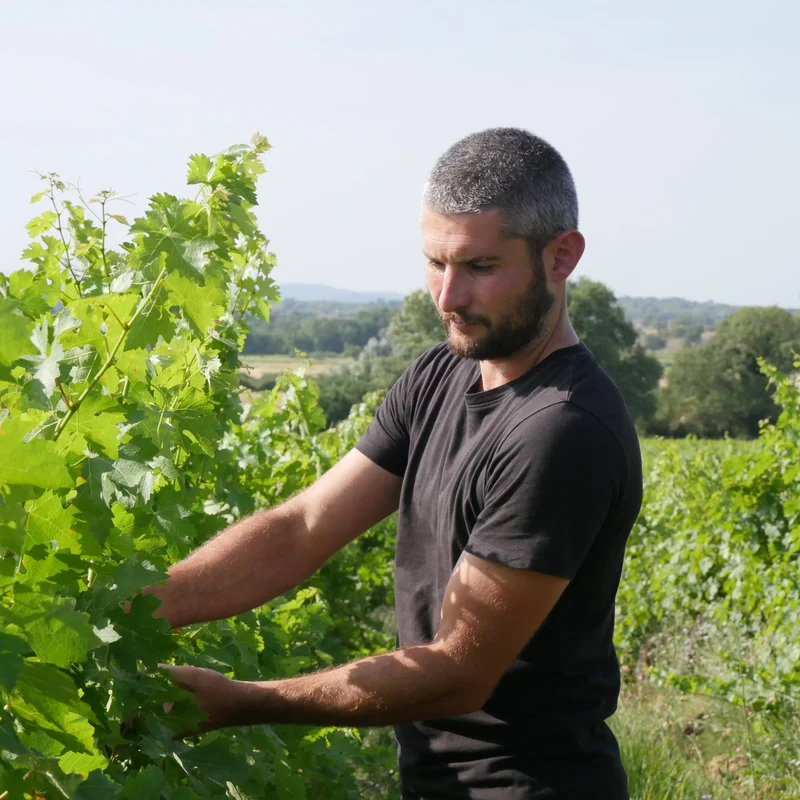 Cévennes rouge Triptyque 2022