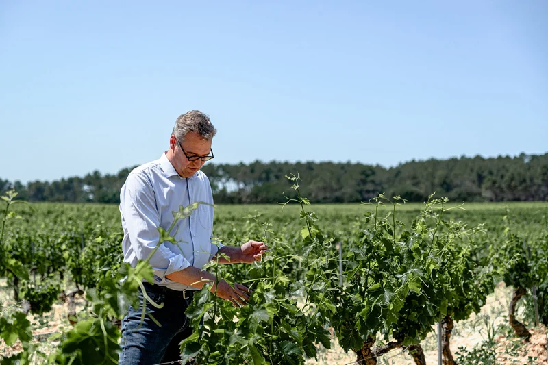 Châteauneuf-du-Pape "Clos du Roi" 2021