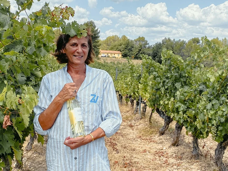 Côtes-de-Provence 2025