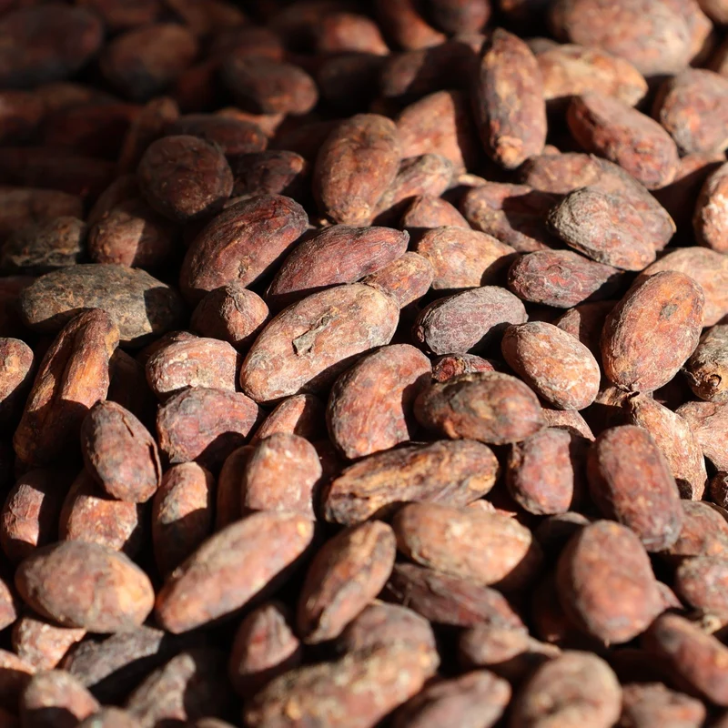Chocolat 84% Lucifèves d'Aubrac "Équateur Sofia" 65g