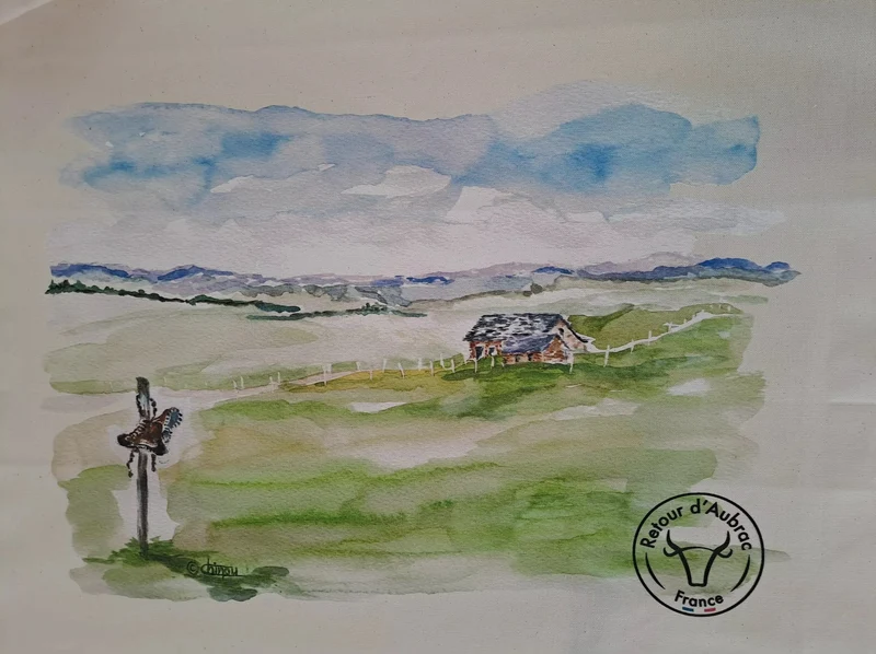 Grand Torchon de Cuisine Illustré – Plateau de l’Aubrac