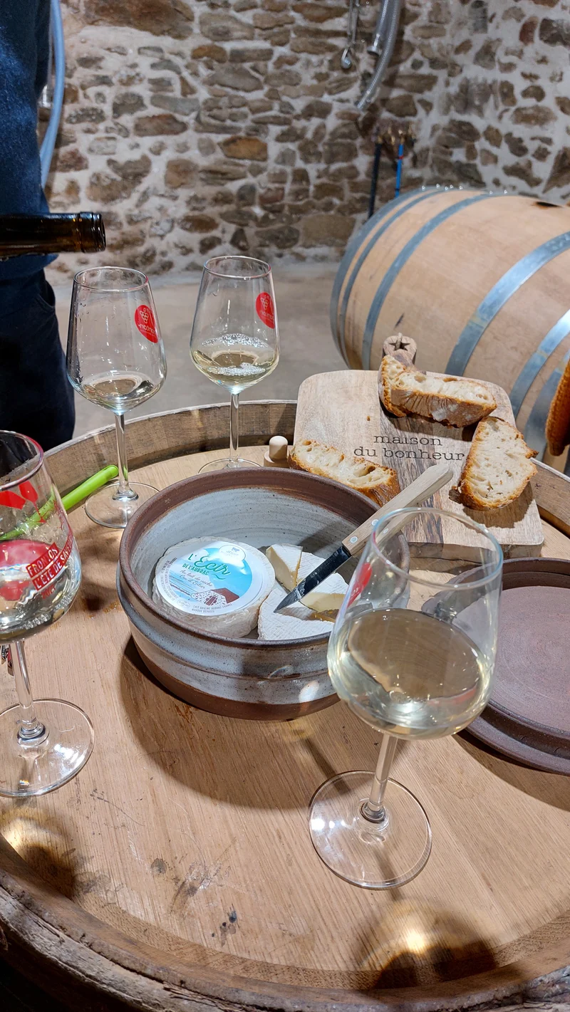 Vin blanc sec bio "Cuvée de la Grange" – Domaine de Moncles75 cl