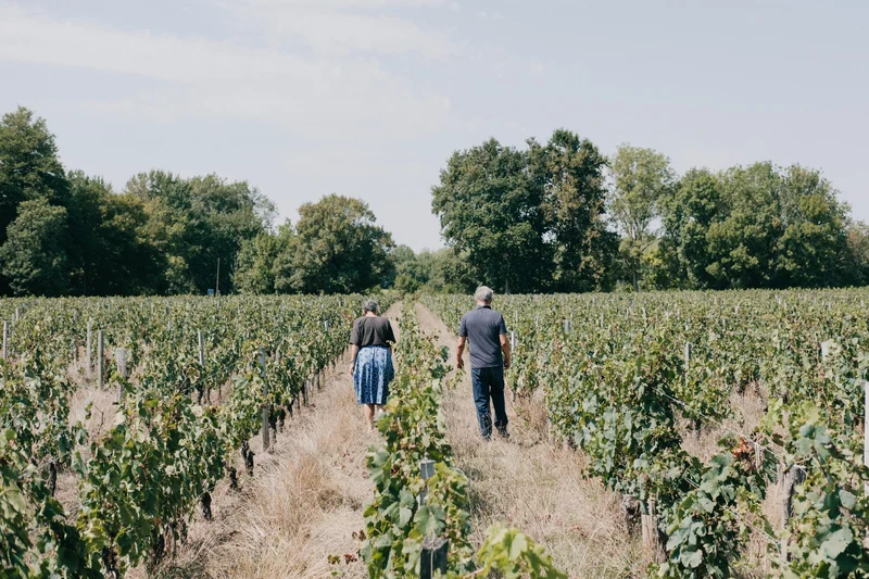 Saint-Emilion Grand Cru La Grezolle 2021