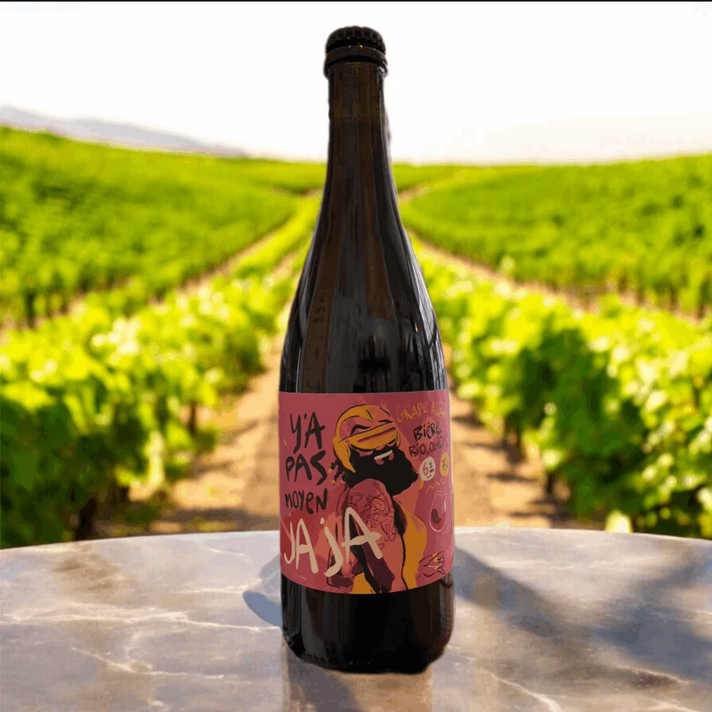 Y'a pas moyen Jaja Grape Ale bio 75cl (6%) - Vieux singe