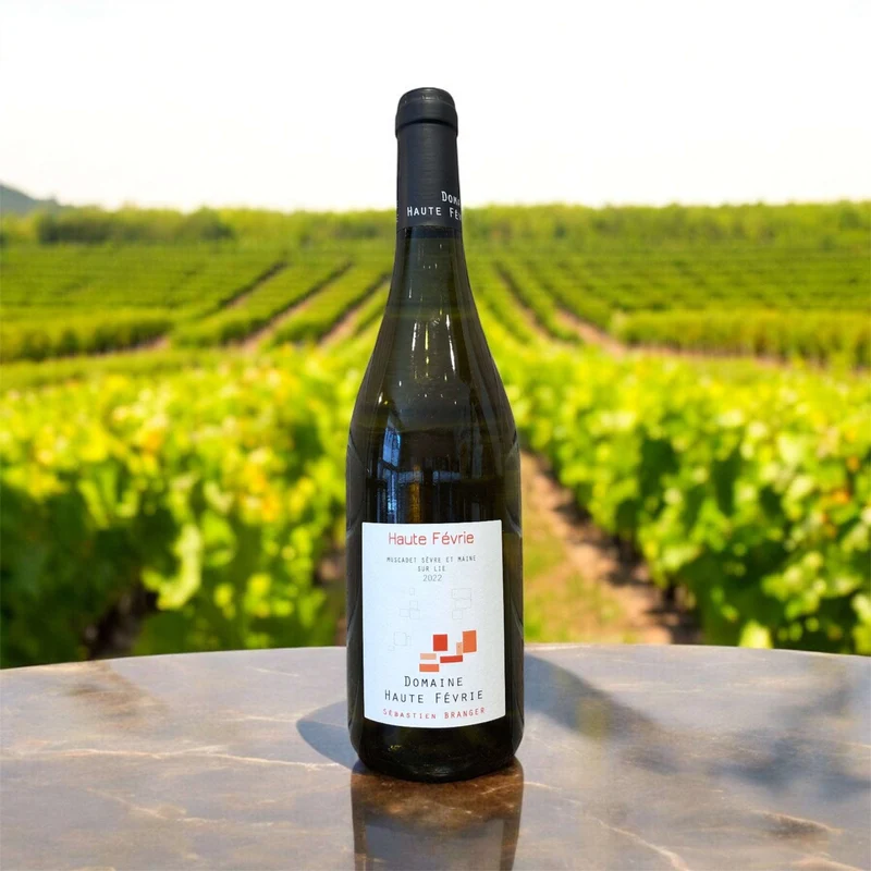 Muscadet Sèvre et Maine sur Lie 2024 75cl (12,2%) - Domaine Haute Fevrie