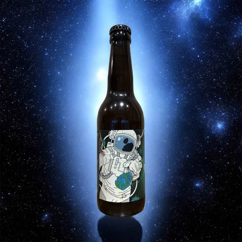 Top of the hop IPA 33cl ( 6,5%) - Zig