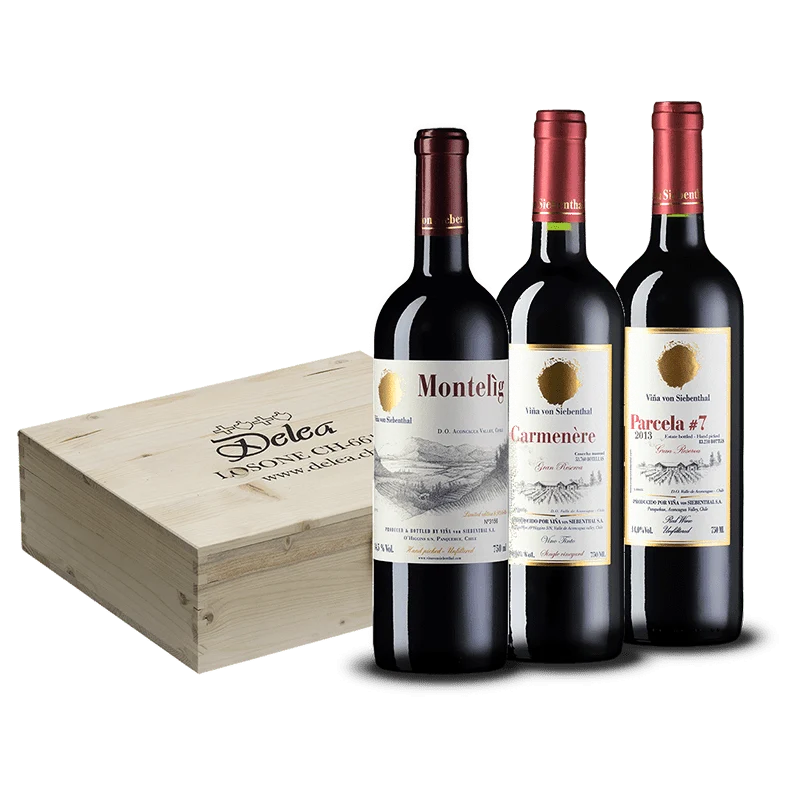 Chili Caja regalo VIÑA VON SIEBENTHAL