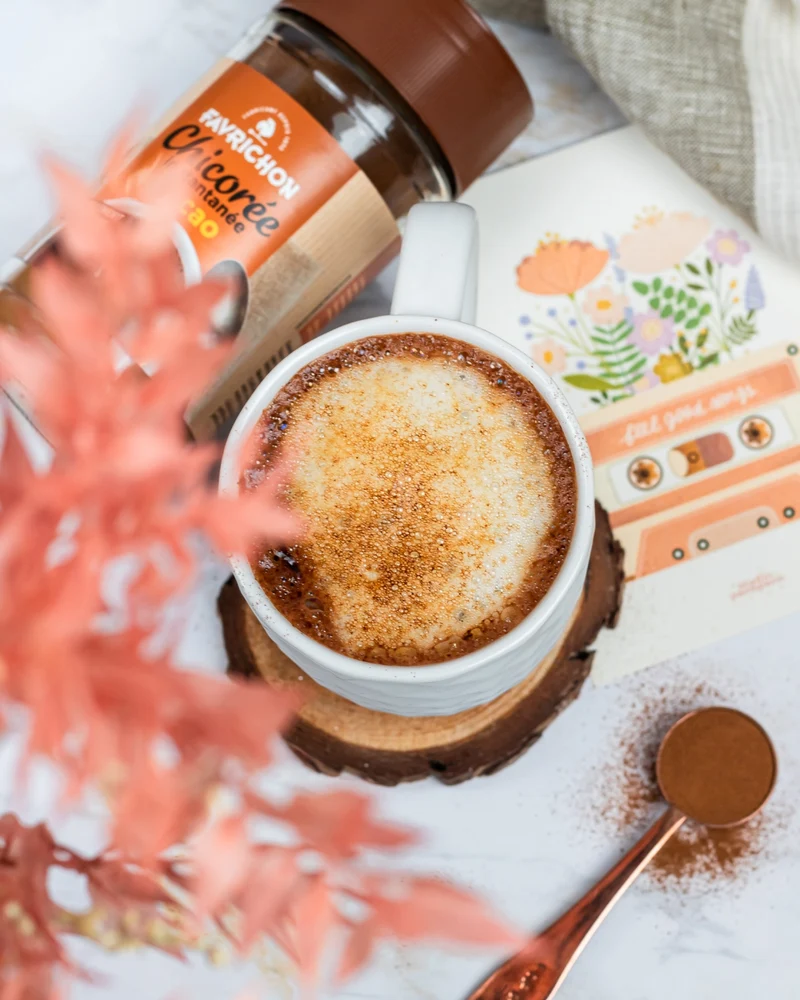 Chicorée instantanée Cacao bio