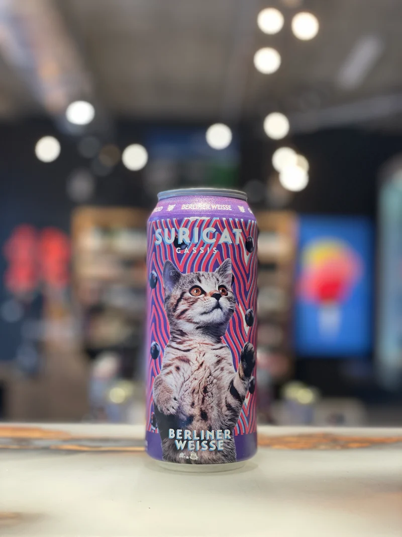 Suricat cassis