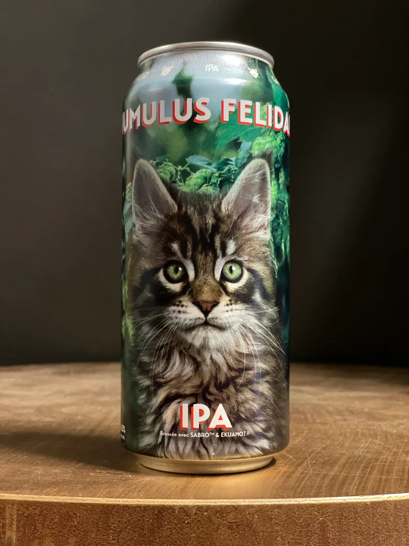 Humulus Felidae
