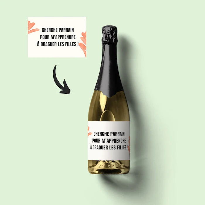 Champagne - cherche parrain pour m'apprendre à draguer les filles