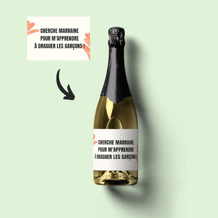Champagne - cherche marraine pour m'apprendre à draguer les garçons