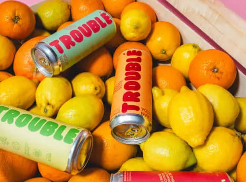 LOVEN CLEAN SODA Abricot, Gingembre, Thé noir & Zeste d'orange
