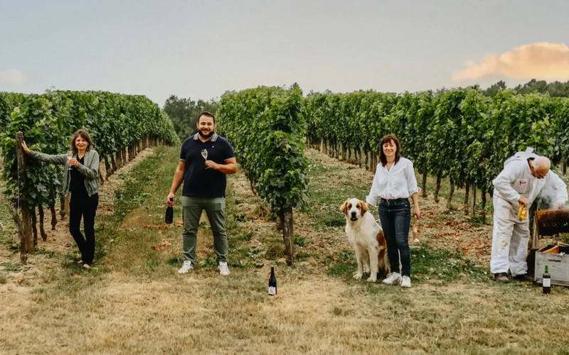 Vin rosé Sauv'Terre sans alcool 0,0%