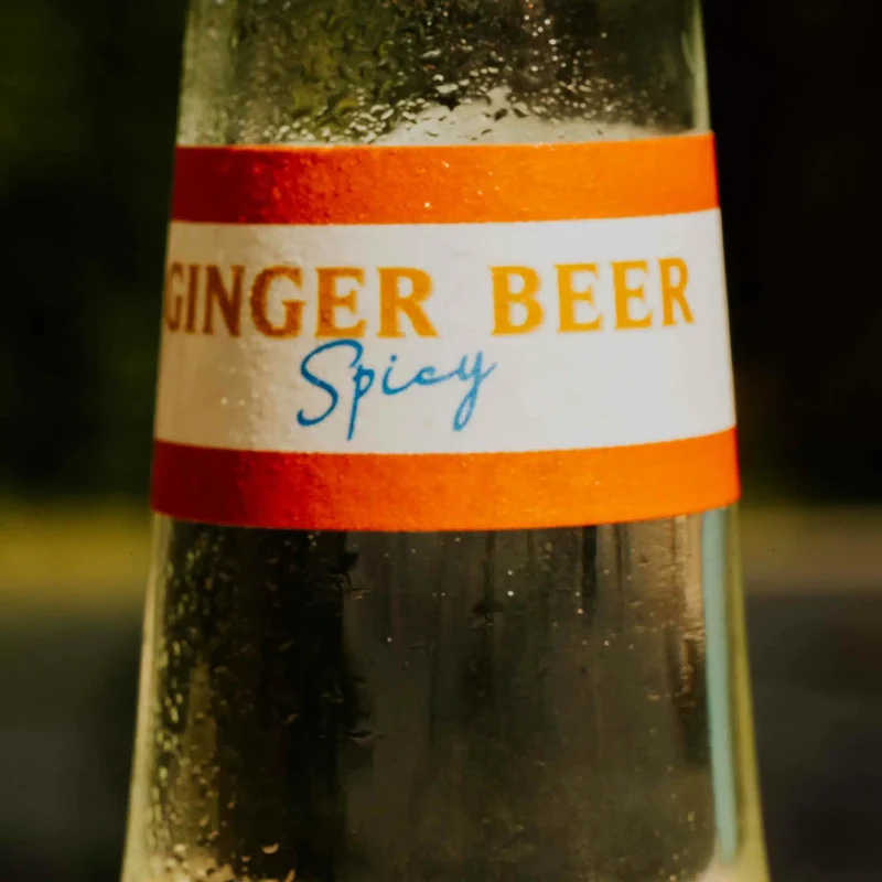 Ginger Beer spicy Bio Hysope 20 cl