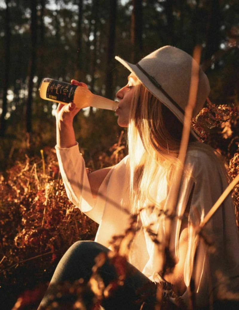 Ginger Beer Bio Gingeur sans sucres 33 cl