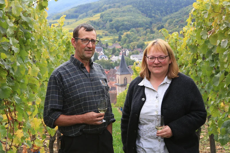 Vin blanc d'Alsace Ribo sans alcool 0,5%