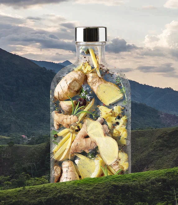 Gimber N°2 Brut 200 ml sans alcool