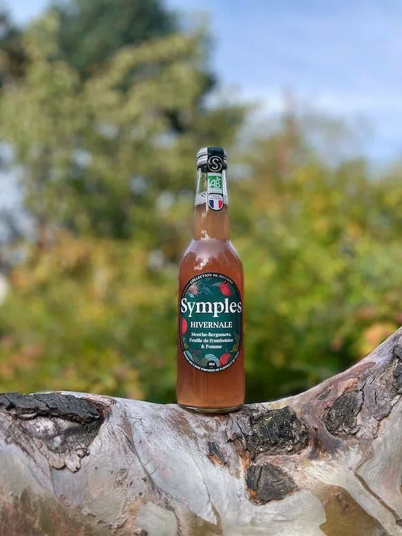 Symples infusion hivernale édition limitée