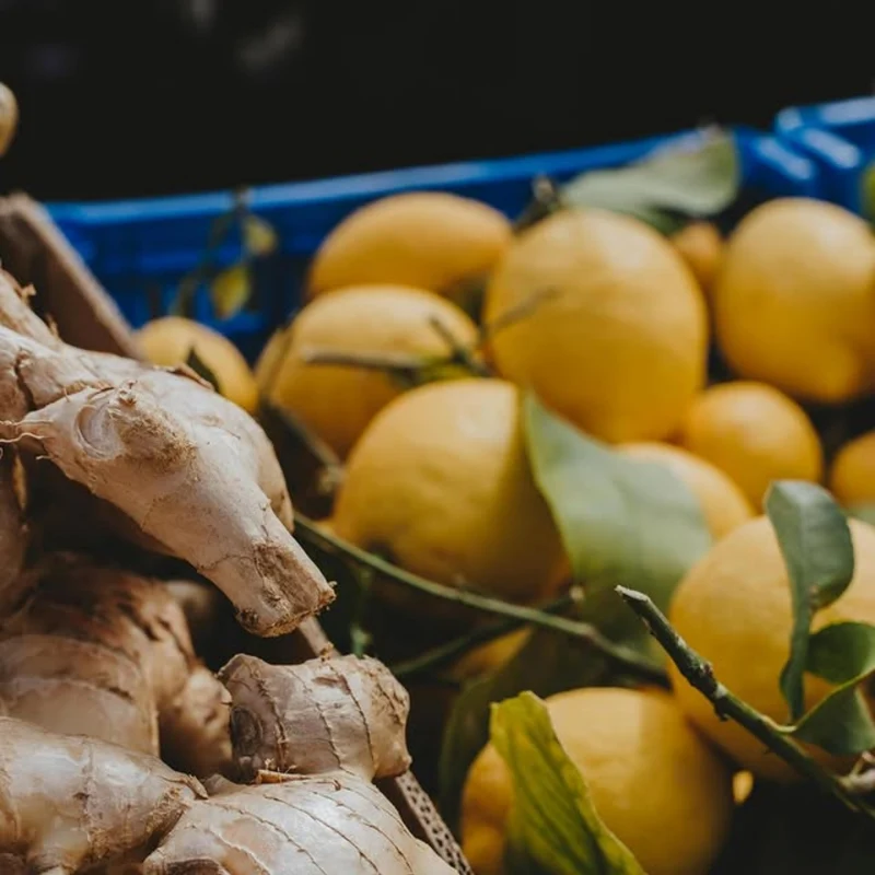 Gingembre Citron - Koko Kombucha