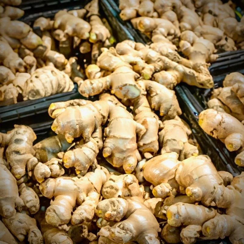 Le Gingembre - Ginger & Ginger