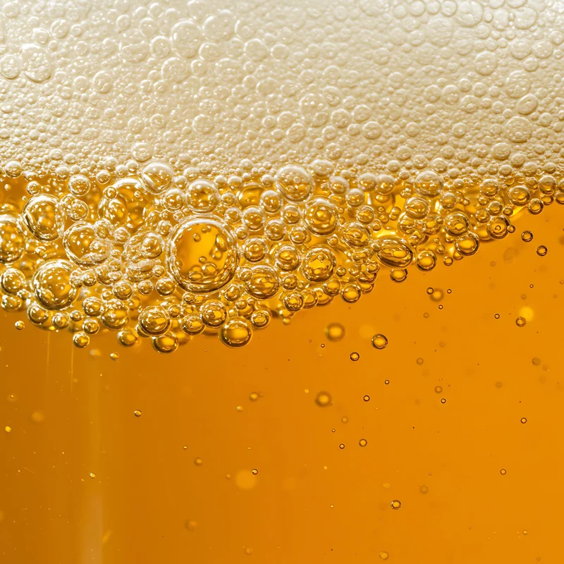 DRY HOPPED IPA