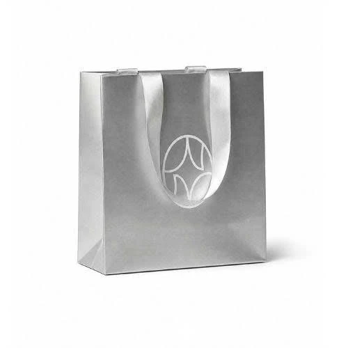 Sac boutique argent S 2025