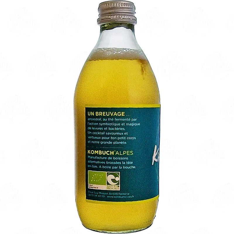 Kombucha Pomme Coing Verveine