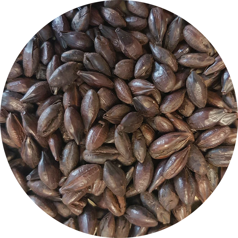 CRISP ROASTED BARLEY 1200 EBC