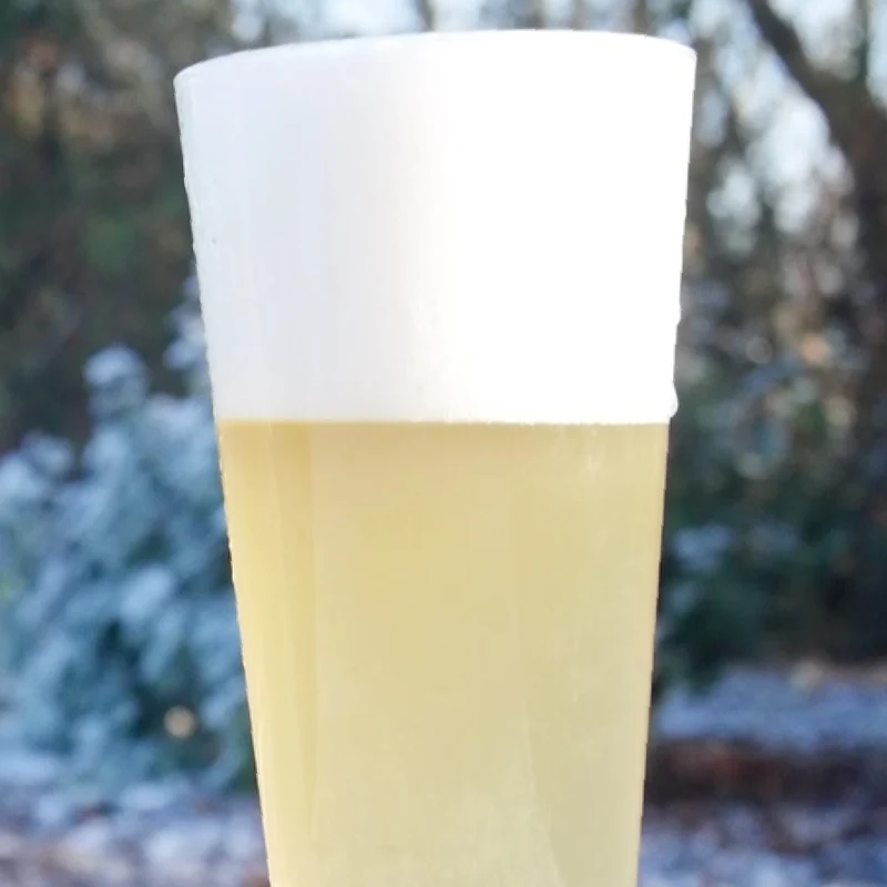 COLD IPA STRATA - KIT DE RECETTE TOUT-GRAIN