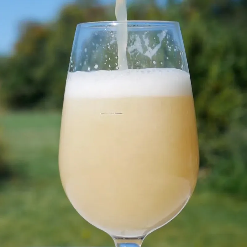 SESSION NEIPA ECLIPSE - KIT BIÈRE TOUT-GRAIN