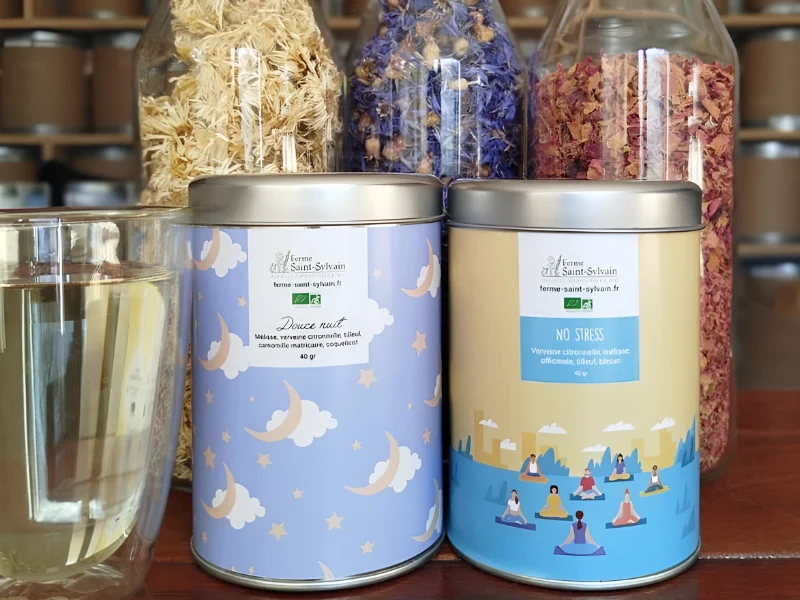 Coffret de 2 boîtes de tisanes composées bio de 40g "InfuZen"